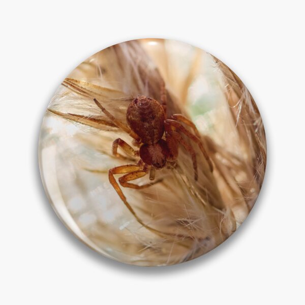 Item preview, Hide of the crab spider. 2025 designed and sold by Jouko Lehto Photography.