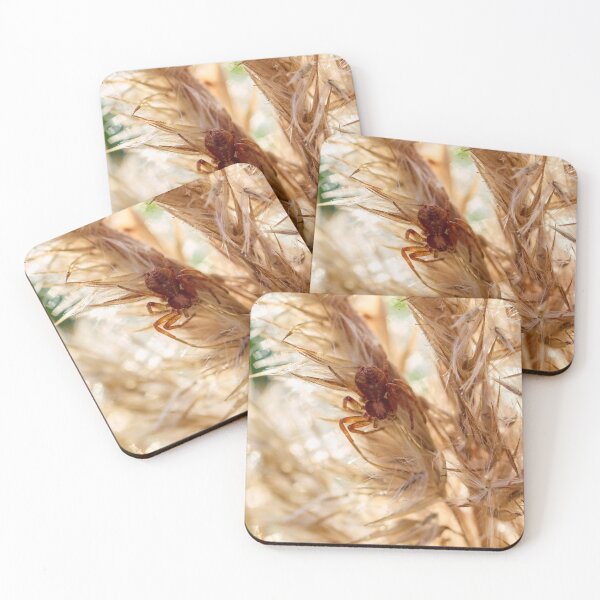Item preview, Hide of the crab spider. 2025 designed and sold by Jouko Lehto Photography.