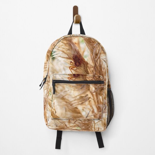 Item preview, Hide of the crab spider. 2025 designed and sold by Jouko Lehto Photography.