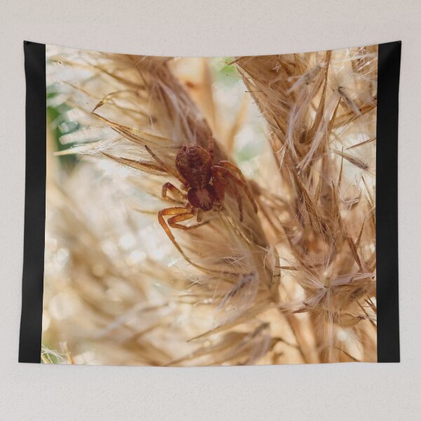 Item preview, Hide of the crab spider. 2025 designed and sold by Jouko Lehto Photography.