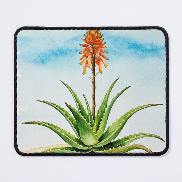 Item preview, Aloe vera plant designed and sold by Design4uStudio.