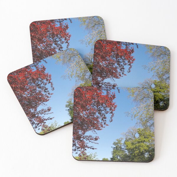 Item preview, A Trio of Trees  designed and sold by Minniemoke.