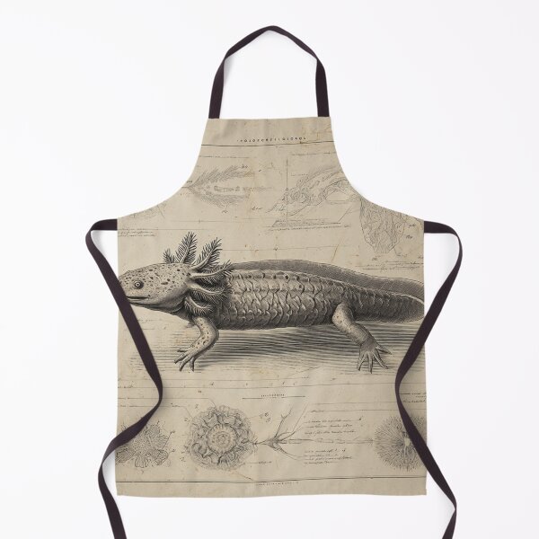 Item preview, Vintage Axolotl Illustration – 19th Century Zoological Field Guide Art – Scientific Amphibian Print designed and sold by MadeByACJ.