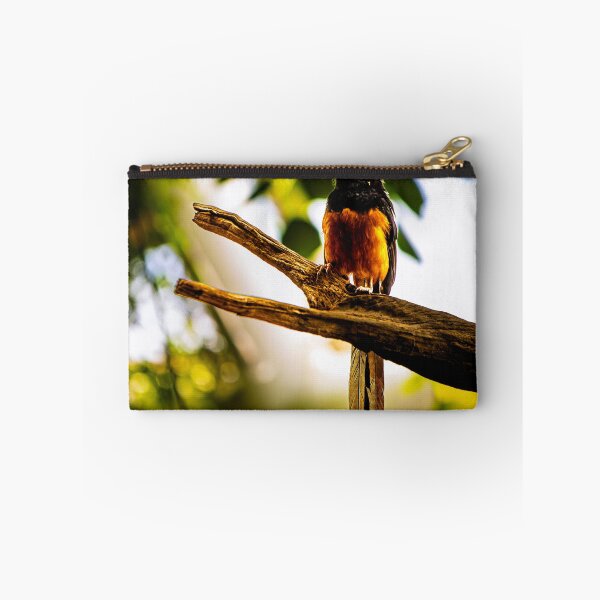 Item preview, White-rumped Shama on a branch designed and sold by arat192.