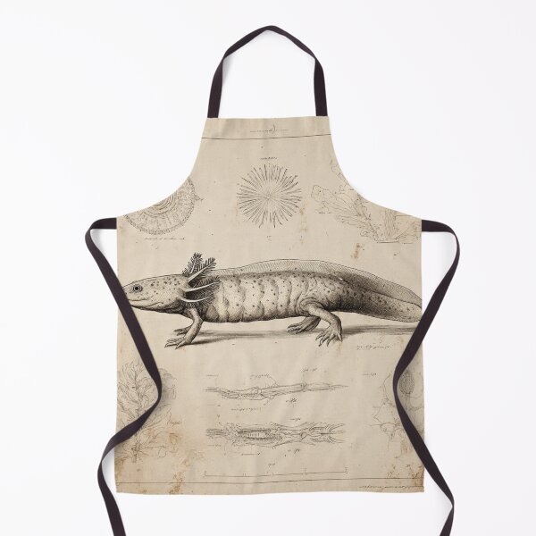 Item preview, Scientific Axolotl Study – Vintage Zoology Illustration – Naturalist Field Guide Amphibian Art designed and sold by MadeByACJ.