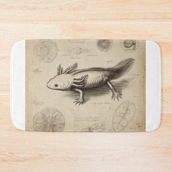 Item preview, Antique Axolotl Print – Vintage Scientific Illustration – Natural History Museum Style Wall Art designed and sold by MadeByACJ.
