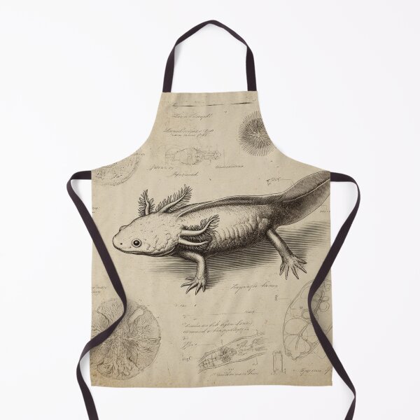 Item preview, Antique Axolotl Print – Vintage Scientific Illustration – Natural History Museum Style Wall Art designed and sold by MadeByACJ.