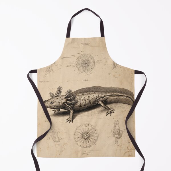 Item preview, Steampunk Axolotl Illustration – Vintage Scientific Field Guide Art – Retro Natural History Design designed and sold by MadeByACJ.