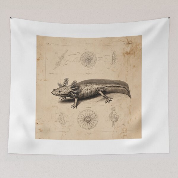 Item preview, Steampunk Axolotl Illustration – Vintage Scientific Field Guide Art – Retro Natural History Design designed and sold by MadeByACJ.
