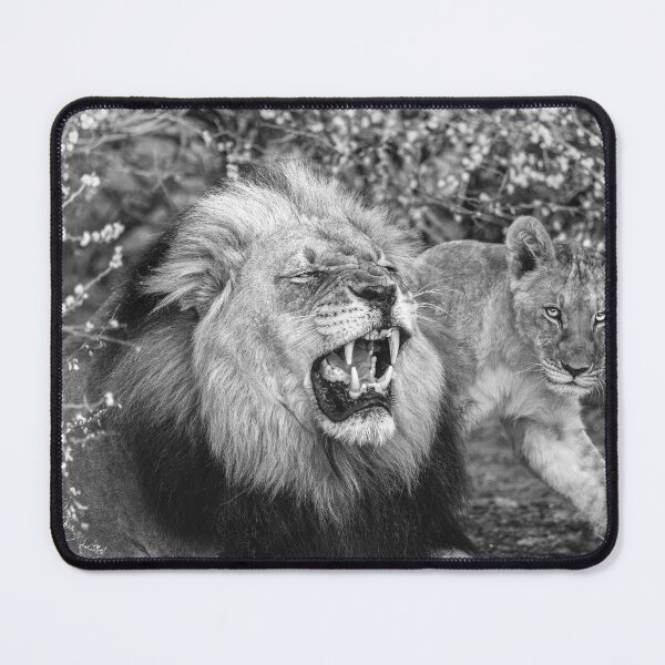 Item preview, Lion and Cub in Black and White designed and sold by Kay Brewer.