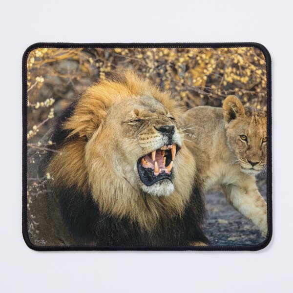 Item preview, Lion and Cub in Botswana designed and sold by Kay Brewer.