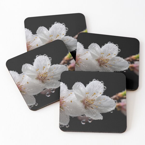 Item preview, Cherry blossoms glisten with dew designed and sold by anytka.