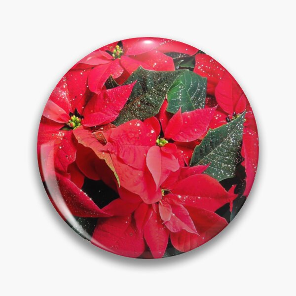 Aperçu de l'œuvre Fleur de Noël créée et vendue par InBrew.