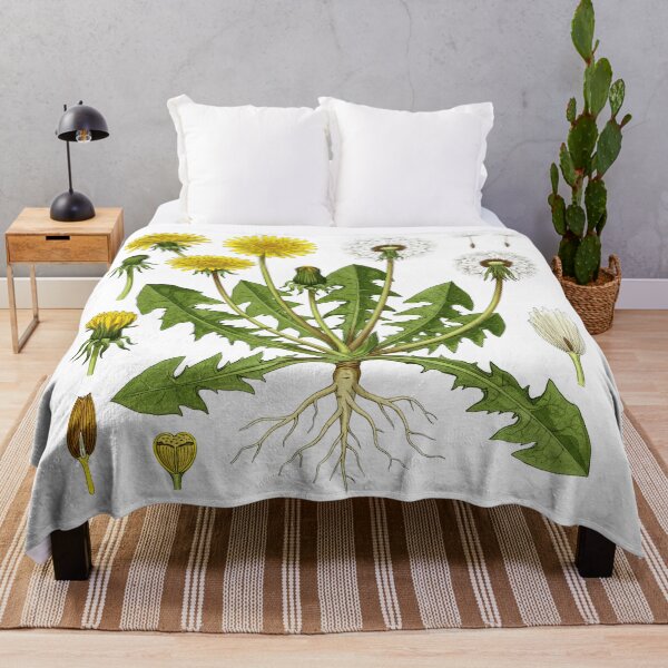 Item preview, Detailed Botanical Illustration of Dandelion Plant designed and sold by TeeARTHY.