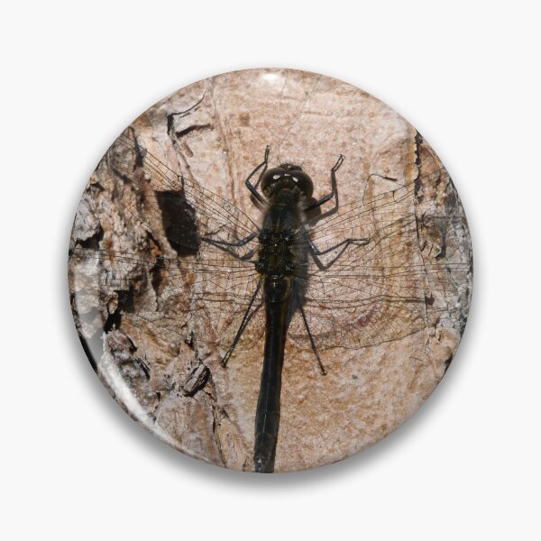 Item preview, Pineside. Black darter designed and sold by Jouko Lehto Photography.