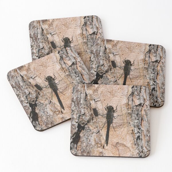 Item preview, Pineside. Black darter designed and sold by Jouko Lehto Photography.
