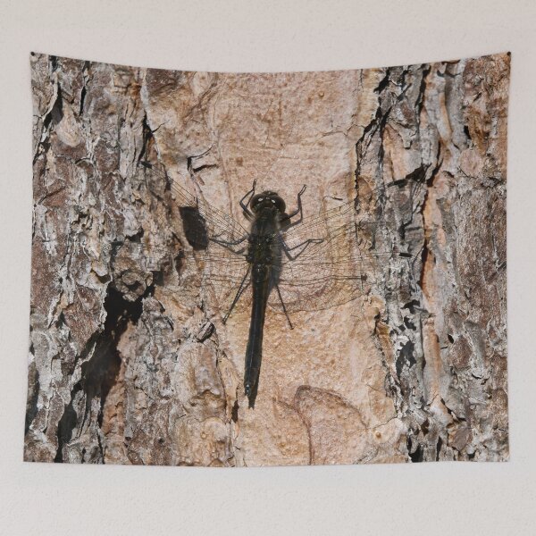 Item preview, Pineside. Black darter designed and sold by Jouko Lehto Photography.
