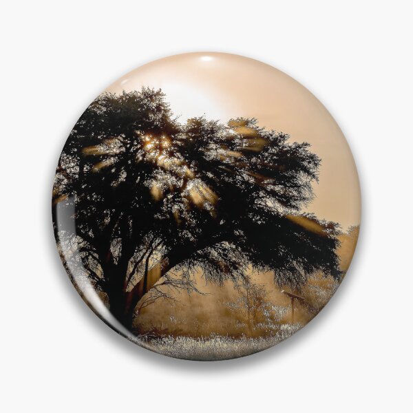 Item preview, Kalahari Sunburst, Camel Thorn at Dawn, Kgalagadi designed and sold by DavideAntoniani.