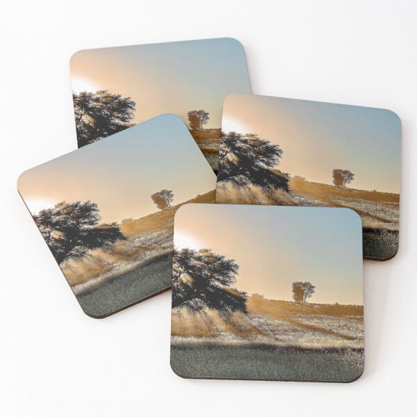 Item preview, Kalahari Sunburst, Camel Thorn at Dawn, Kgalagadi designed and sold by DavideAntoniani.