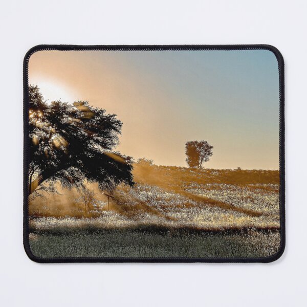 Item preview, Kalahari Sunburst, Camel Thorn at Dawn, Kgalagadi designed and sold by DavideAntoniani.