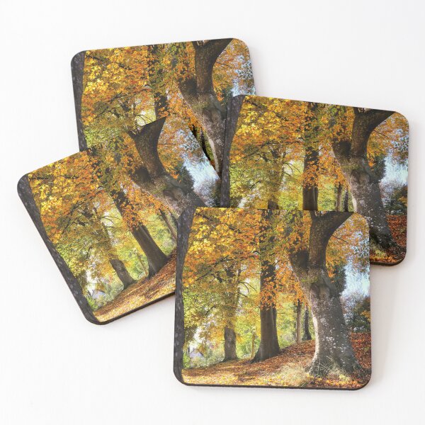 Item preview, Forest  designed and sold by Chirayu1111.