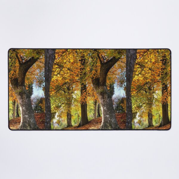 Item preview, Forest designed and sold by Chirayu1111.