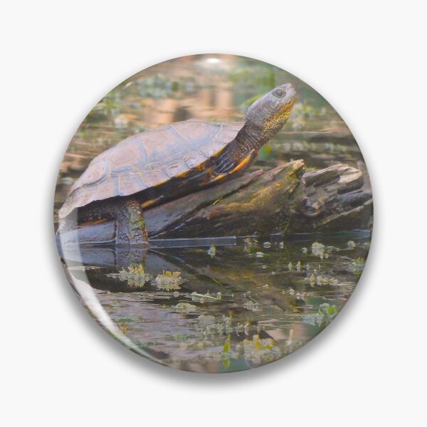 Item preview, A Western Pond Turtle Sunning designed and sold by Wonders Of Paradise.