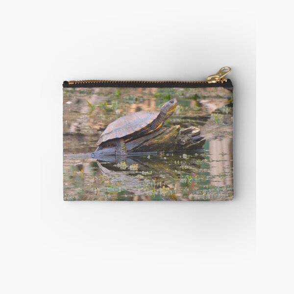 Item preview, A Western Pond Turtle Sunning designed and sold by Wonders Of Paradise.