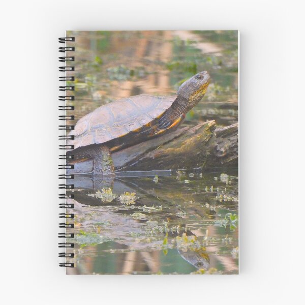 Item preview, A Western Pond Turtle Sunning designed and sold by Wonders Of Paradise.