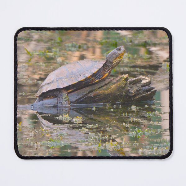 Item preview, A Western Pond Turtle Sunning designed and sold by Wonders Of Paradise.