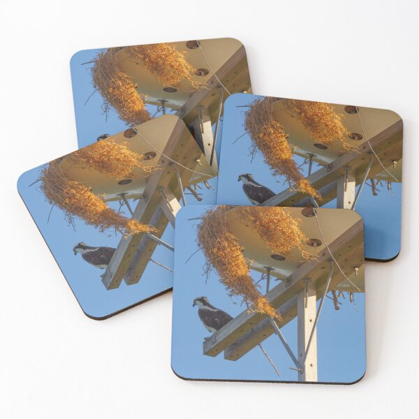 Item preview, An osprey perches on a wooden nesting platform under a clear blue sky at Fort De Soto Park, Pinellas County, Florida designed and sold by EyezWatchin.