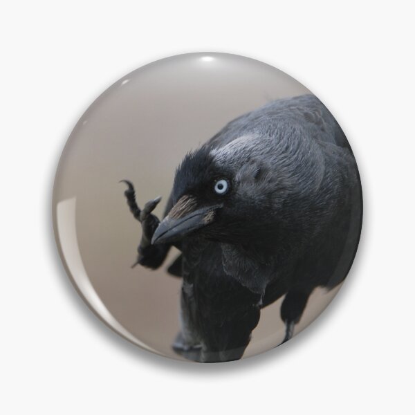 Item preview, Jackdaw Scratching designed and sold by LJarts.