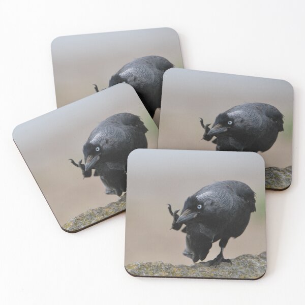 Item preview, Jackdaw Scratching designed and sold by LJarts.