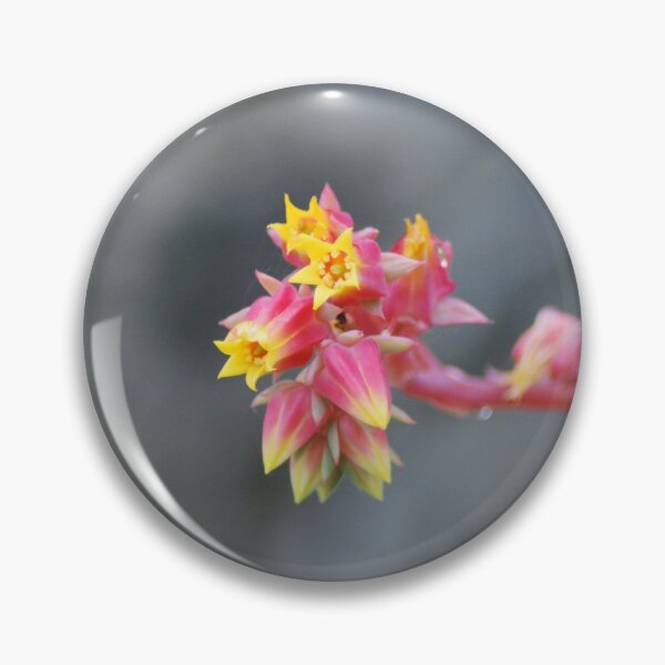 Item preview, Echeveria Succulent Flower designed and sold by LJarts.