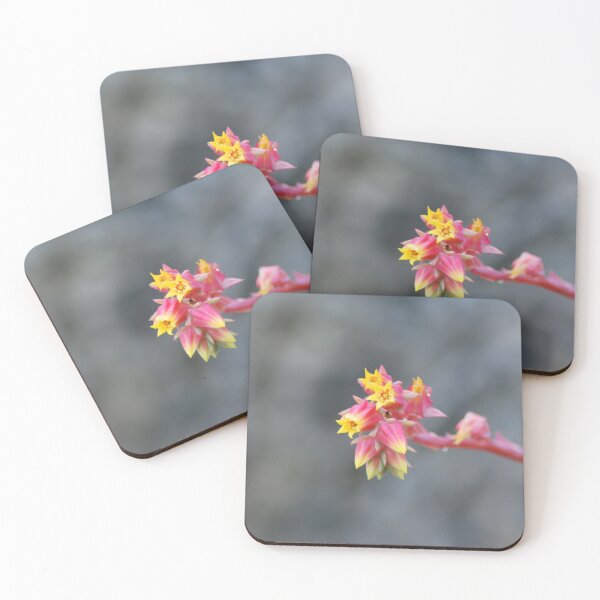 Item preview, Echeveria Succulent Flower designed and sold by LJarts.