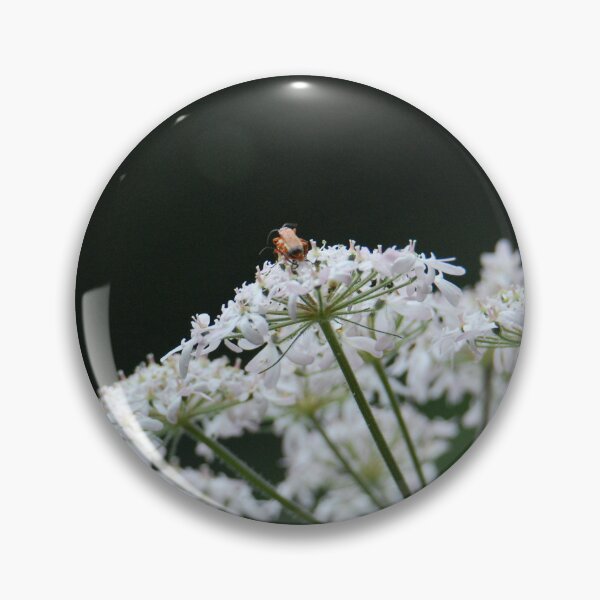 Item preview, Cow Parsley  designed and sold by LJarts.