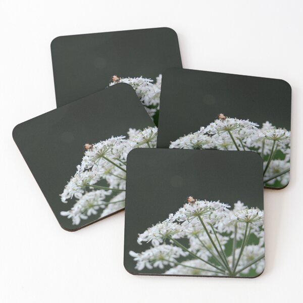 Item preview, Cow Parsley  designed and sold by LJarts.
