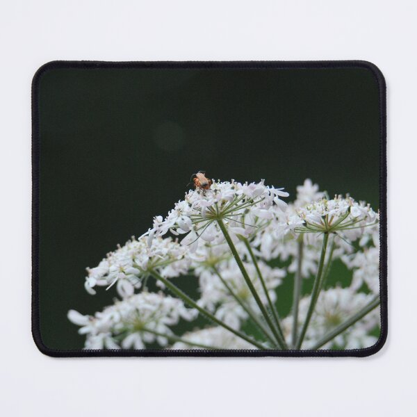 Item preview, Cow Parsley designed and sold by LJarts.