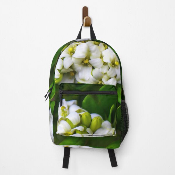 Item preview, Ready For the Bees! designed and sold by heatherfriedman.