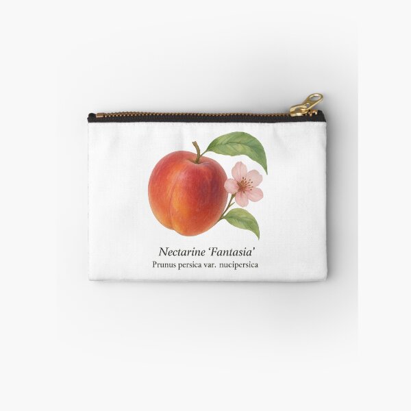 Item preview, Nectarine ‘Fantasia’ – Aromatic Summer Botanical Illustration designed and sold by BloomKind.