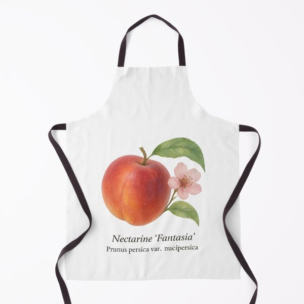 Item preview, Nectarine ‘Fantasia’ – Aromatic Summer Botanical Illustration designed and sold by BloomKind.