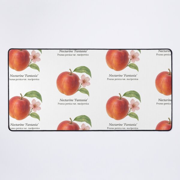 Item preview, Nectarine ‘Fantasia’ – Aromatic Summer Botanical Illustration designed and sold by BloomKind.