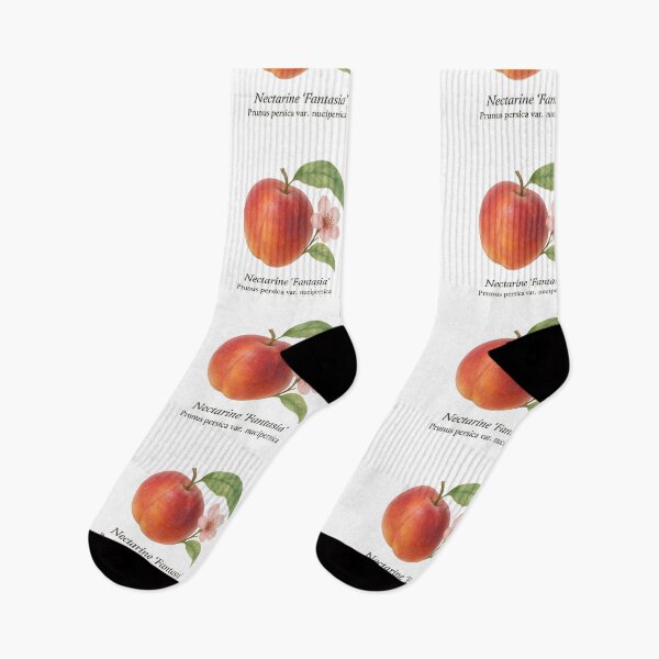 Item preview, Nectarine ‘Fantasia’ – Aromatic Summer Botanical Illustration designed and sold by BloomKind.