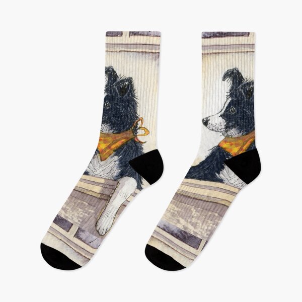 Item preview, Border collie dog posing in the window - he knows he looks cool designed and sold by SusanAlisonArt.