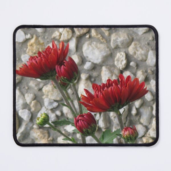 Item preview, Red flowers, stone background designed and sold by Magileo.