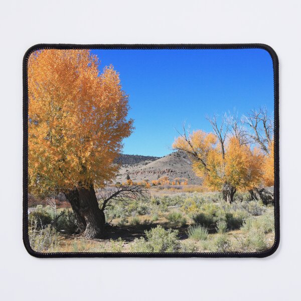 Item preview, Autumn around Saguache designed and sold by zumi.