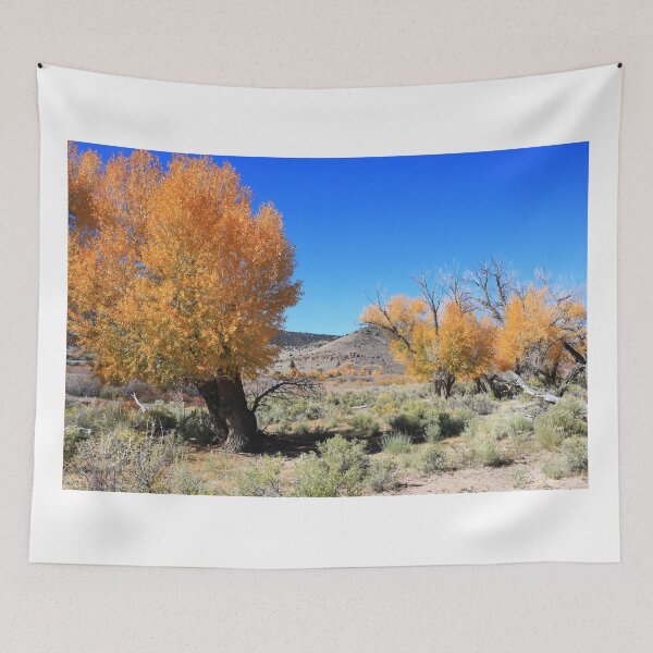 Item preview, Autumn around Saguache designed and sold by zumi.