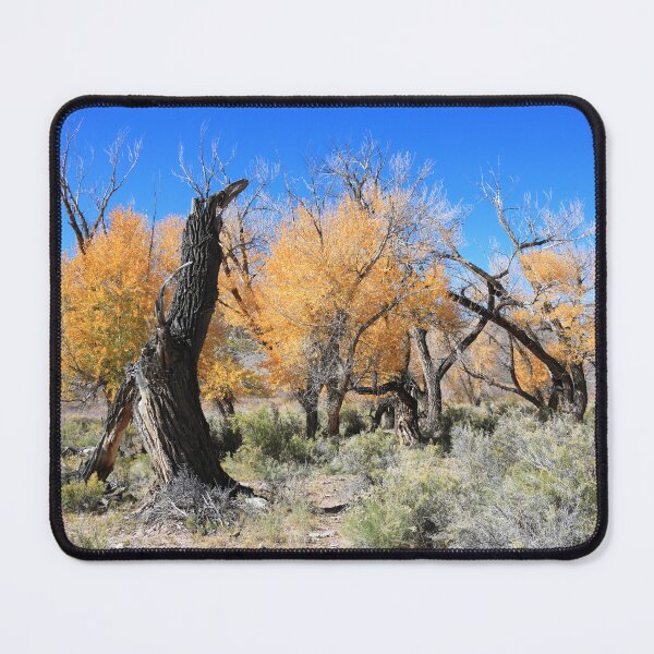 Item preview, Autumn around Saguache II designed and sold by zumi.