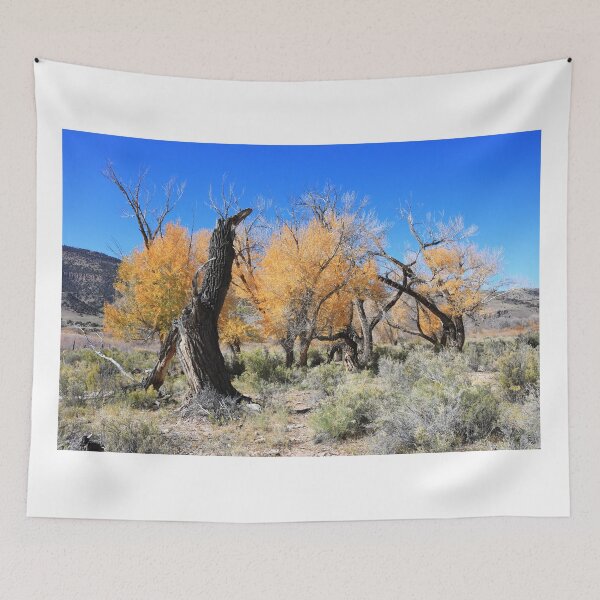 Item preview, Autumn around Saguache II designed and sold by zumi.