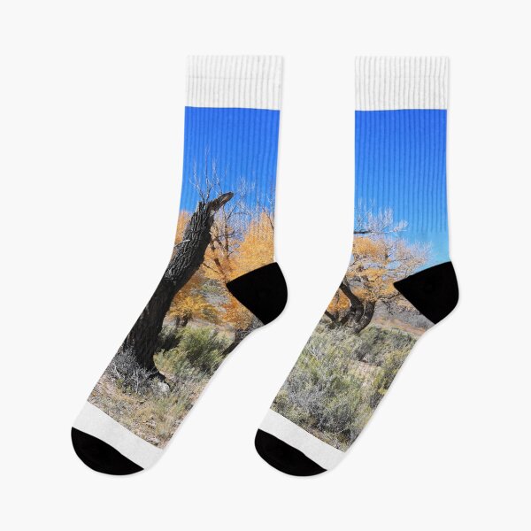 Item preview, Autumn around Saguache II designed and sold by zumi.